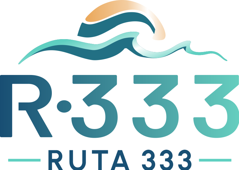 Ruta 333